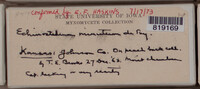 Image Associated With the Occurence